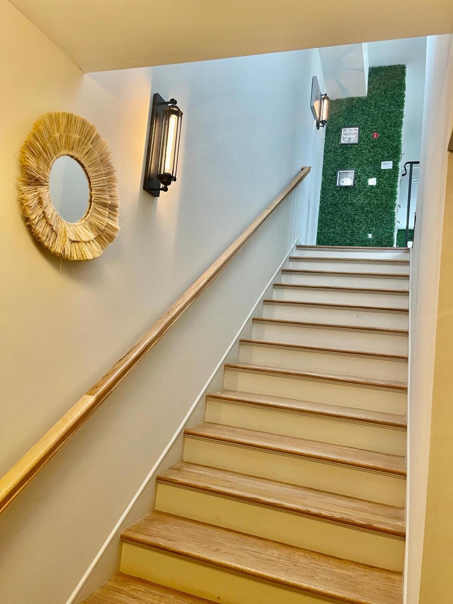 Apartment Modern Fully Renovated & Loft In Downtown